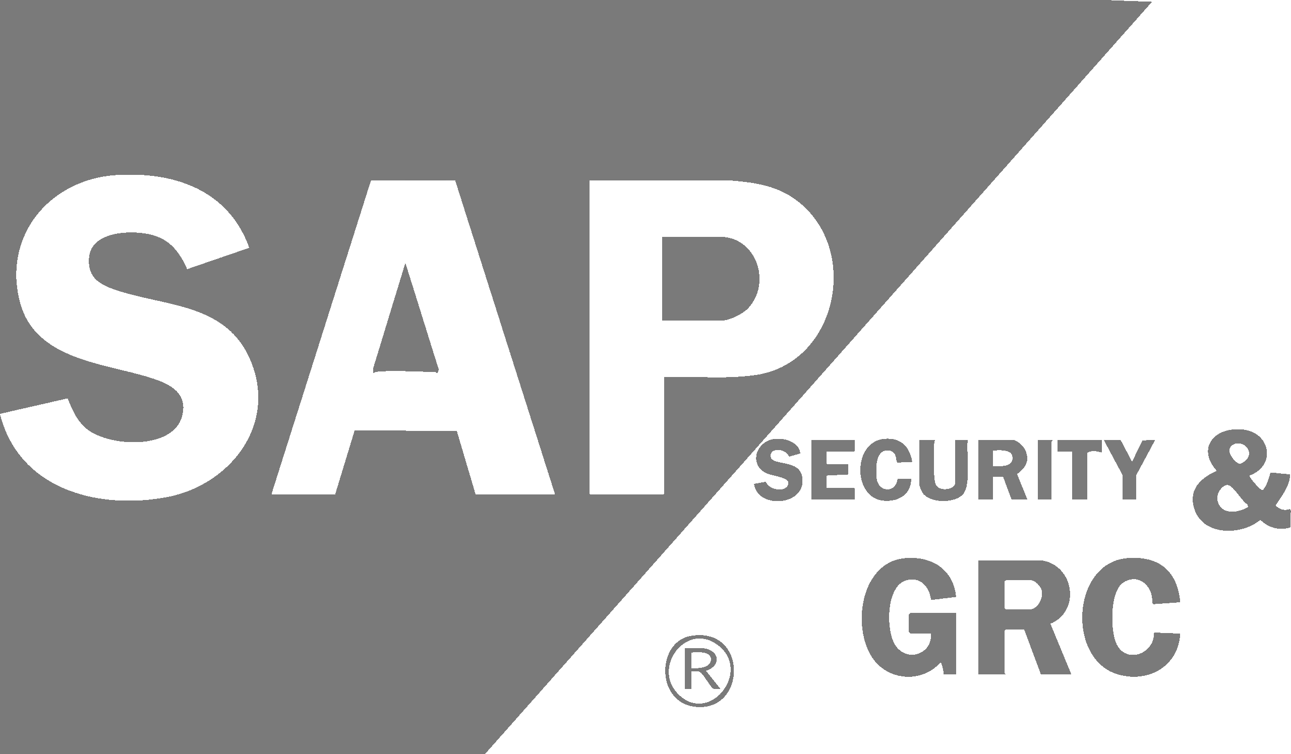 SAP security